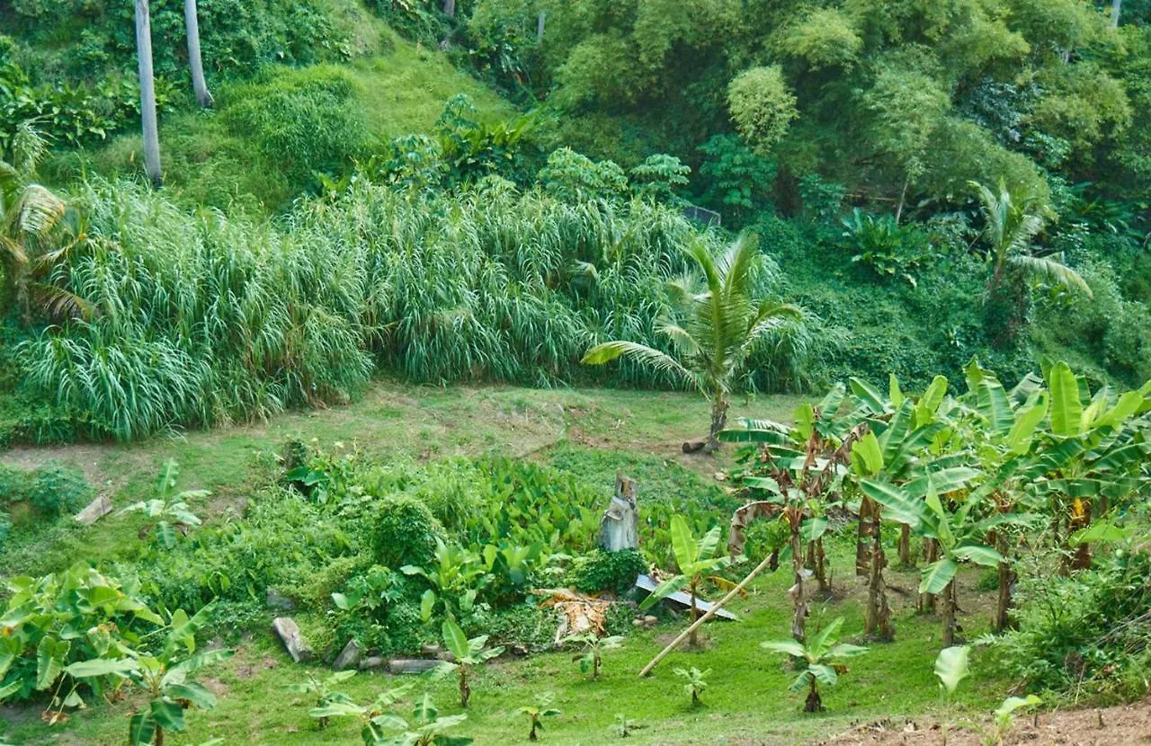 Tatil Evi Erasmus Cove Tobago