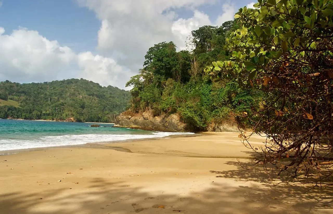 Erasmus Cove Tobago 0*, Scarborough